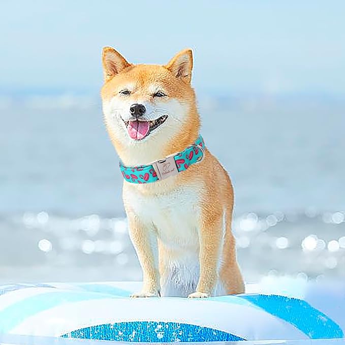 Summer Dog Collar, Cool Flamingo Float Pet Collar with Metal Buckle, Durable Adjustable Designer Dog Collars for Small Medium Large Dogs XL