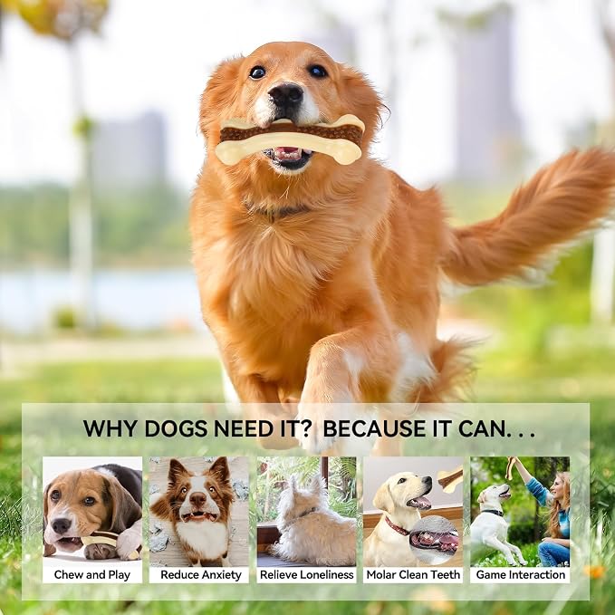 Dog Bones for Aggressive Chewers, 6 Pack Nylon Chew Toys, Real Beef Flavor, Durable Teething Toys for Medium/Small Dogs