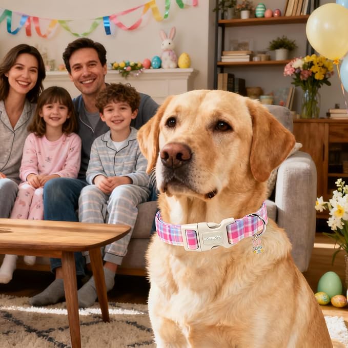 DOGWONG Easter Dog Collar- Cute Easter Plaid Dog Collars Adjustable Girl Female Puppy Dog Collar for Small Medium Large Dogs, L