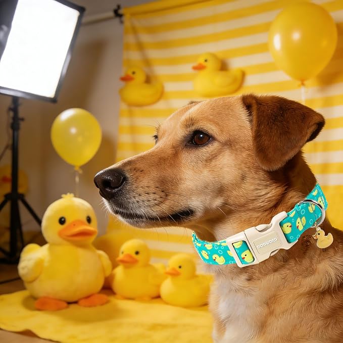 DOGWONG Ducky Pattern Cute Collar, Spring Summer Female Male Collars Pets Gift Adjustable Heavy-Duty Duck Pet Collars for Small Dogs, Neck 8-12 inches