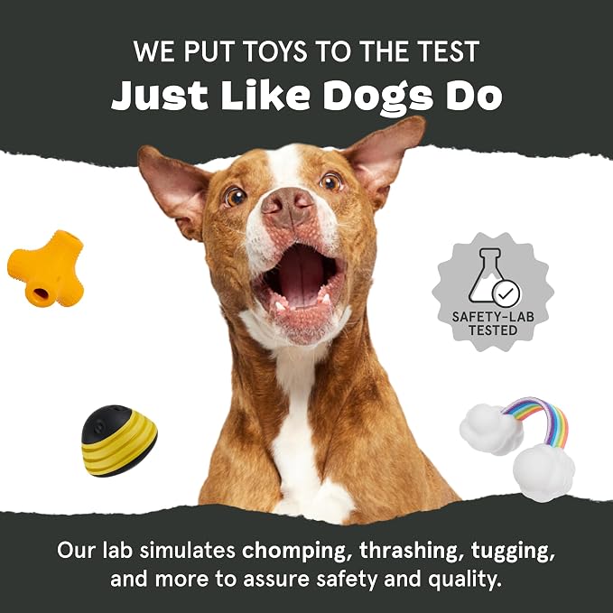 Barkbox Pine Cone Dog Toy | Natural Rubber, Treat Dispensing, Durable & Wacky Bounce | Dog Toy for Aggressive Chewers