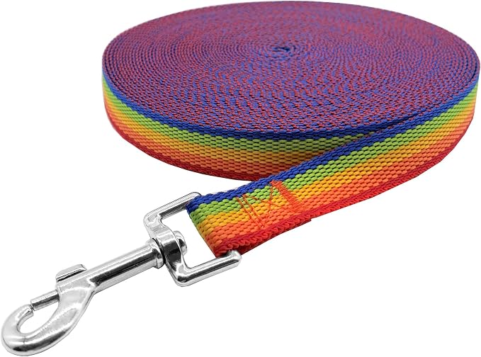 Nylon Training Dog Leash for Small Medium Large Dogs, 15ft 20ft 30ft 50ft Long Leash Dog/Puppy Lead for Obedience Recall Training, Camping (50ft, Rainbow)