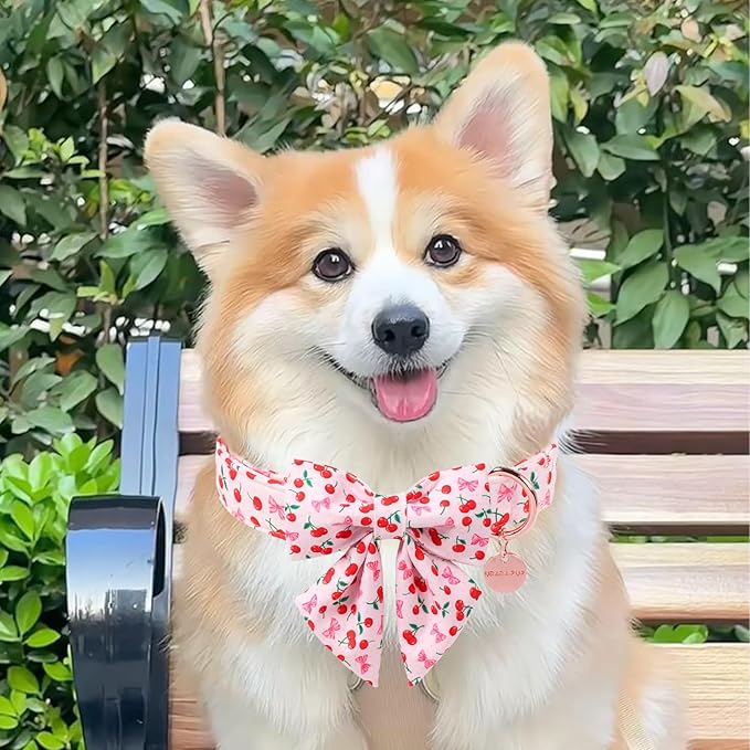 Spring and Summer Dog Collar with Bow Tie, Cherry Bowtie Collar Adjustable for Girl Boy Dog, Spring Pink Bow Collar for Dogs, XL