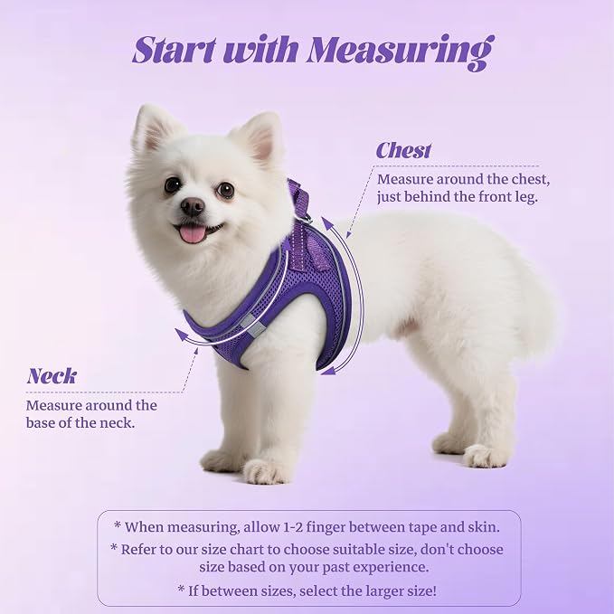 YIMEIS Dog Harness and Leash Set, No Pull Soft Mesh Pet Harness, Reflective Adjustable Puppy Vest for Small Medium Large Dogs, Cats (Purple, Small (Pack of 1)
