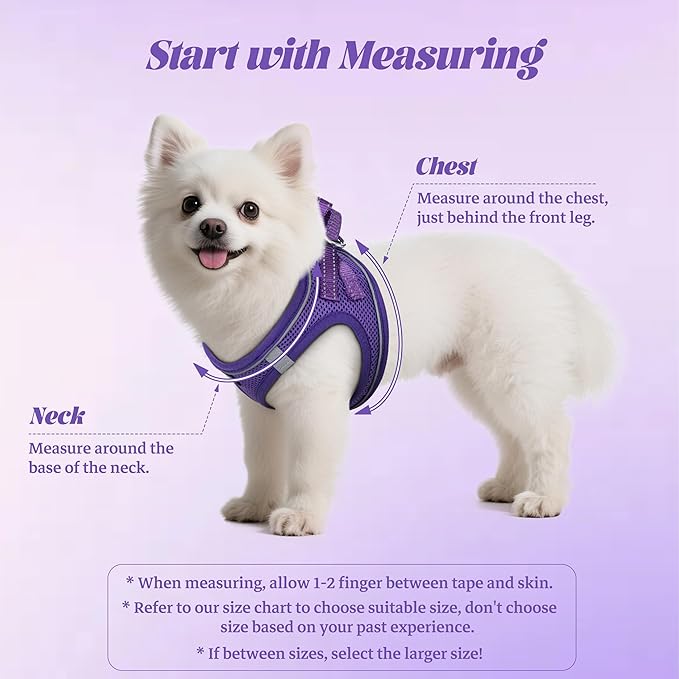 YIMEIS Dog Harness and Leash Set, No Pull Soft Mesh Pet Harness, Reflective Adjustable Puppy Vest for Small Medium Large Dogs, Cats (Purple, X-Small (Pack of 1)
