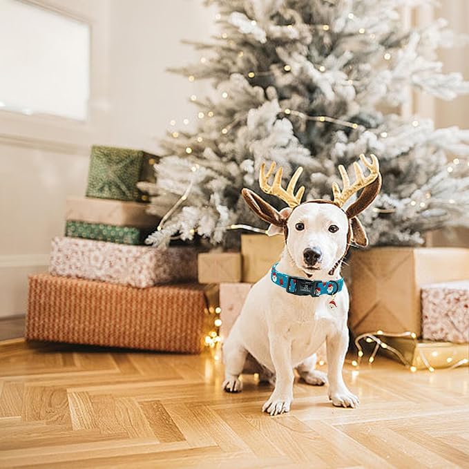 Lionheart glory Christmas Dog Collar, Blue Christmas Santa Deer Dogs Collar Adjustable Soft Comfortable Collars for Large Dogs Girl or Boy Pet Gift Fall Cute Collar