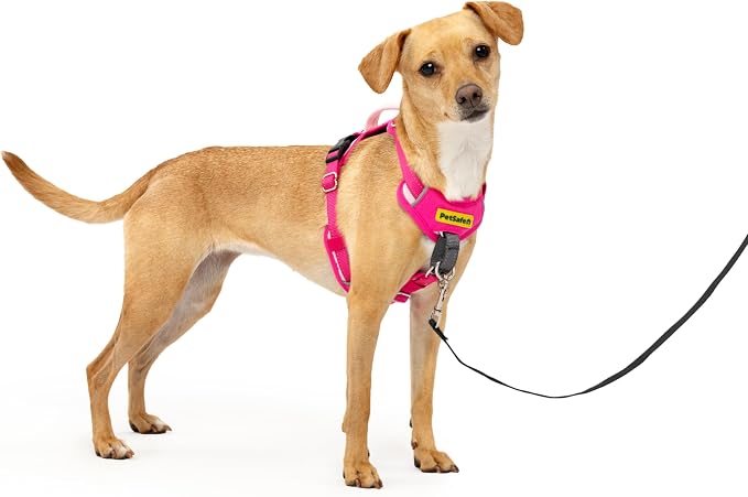 PetSafe Easy Walk Comfort No-Pull Dog Harness Full-Body Padding - Better Walks on the First Use - 5 Points of Adjustment X-Small, Pink