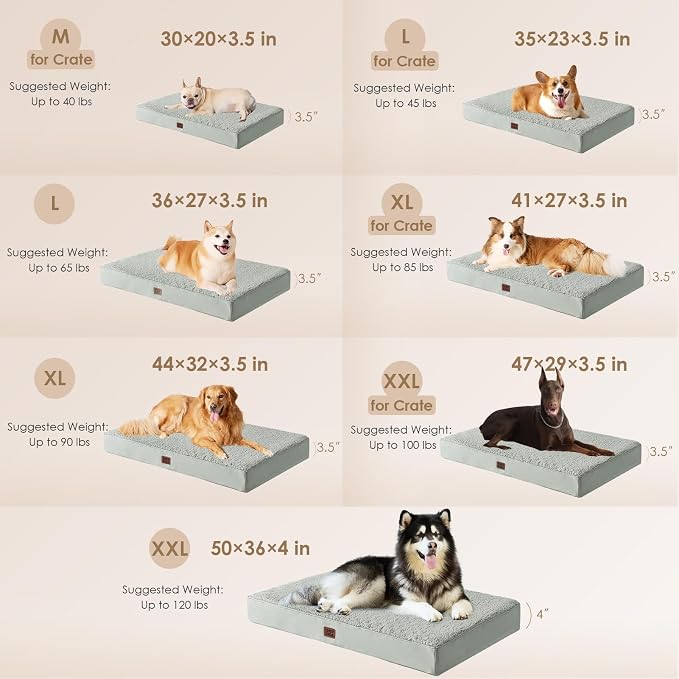 EHEYCIGA Orthopedic Dog Beds for Large Dogs with Removable Washable Cover for Crate, Greyish Green, 35x23