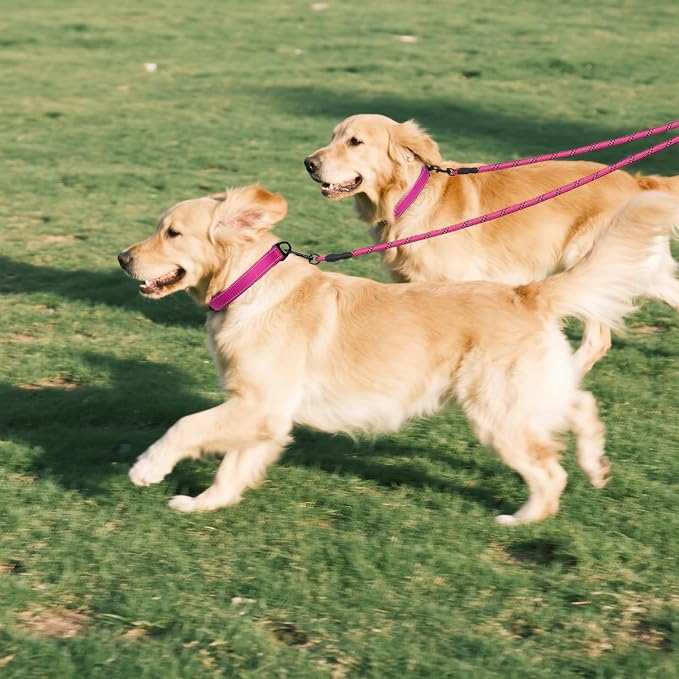 Taglory Double Dog Leash Coupler for Two Dogs, 1/3" Lightweight Dual Leash Extension for Small and Medium Dogs, No Tangle 360° Swivel, Reflective Rope, 30 Inch, Pink