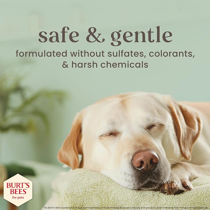 Burt's Bees for Pets Itch Relief Spray for Dogs, Manuka Honey & Chamomile, Soothes Itchy Skin Between Baths, Naturally Derived, No Artificial Fragrances, Sulfates or Colorants, 10 Fl Oz