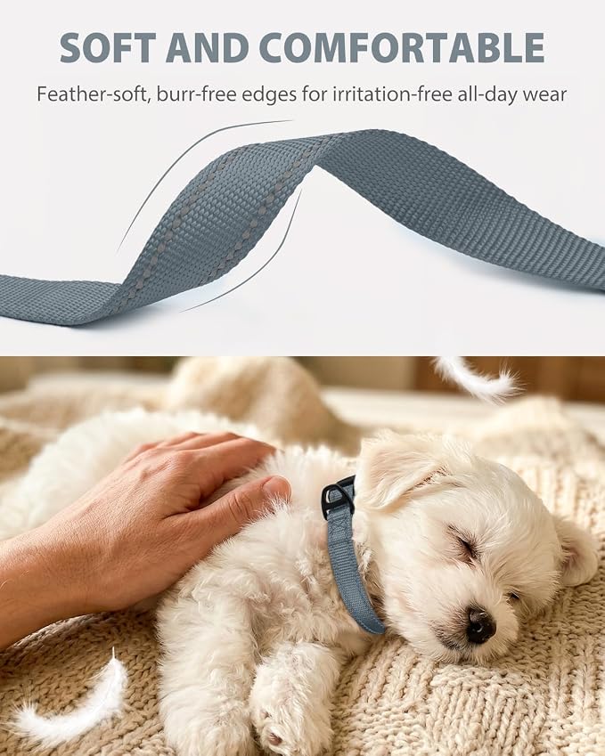 Joytale Dog Collars for Small Dogs, Feather-Light Double-Sided Reflective Nylon Collar for Night Safety, Adjustable Quick-Release for Growing Puppies, Gray, S (5/8" Width)