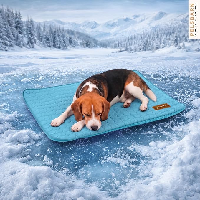 Pelsbarn Dog Cooling Mat- Ice Silk Summer Comfort, Self Cooling, Non-Slip Dog Pad, Durable & Washable, Mat for Medium Dogs 19 x 25, Support Shelter Dogs with Every Purchase (Blue)