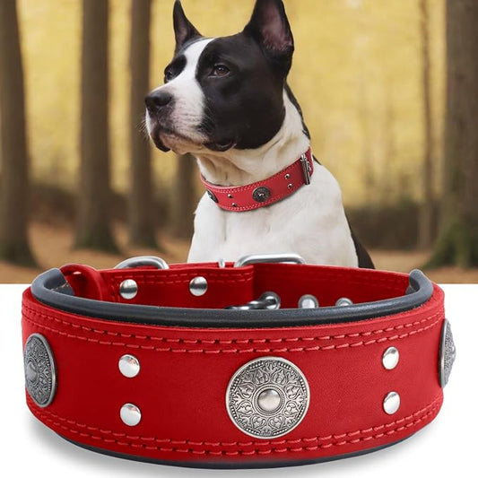 Leather Dog Collar for Large Dogs, 2 in Wide Heavy Duty, Handmade, RD-M | Genuine Leather Stainless Steel Pin Buckle, Microfiber Leather Padded, Alloy Studded， Soft, Luxury and Eye-catching