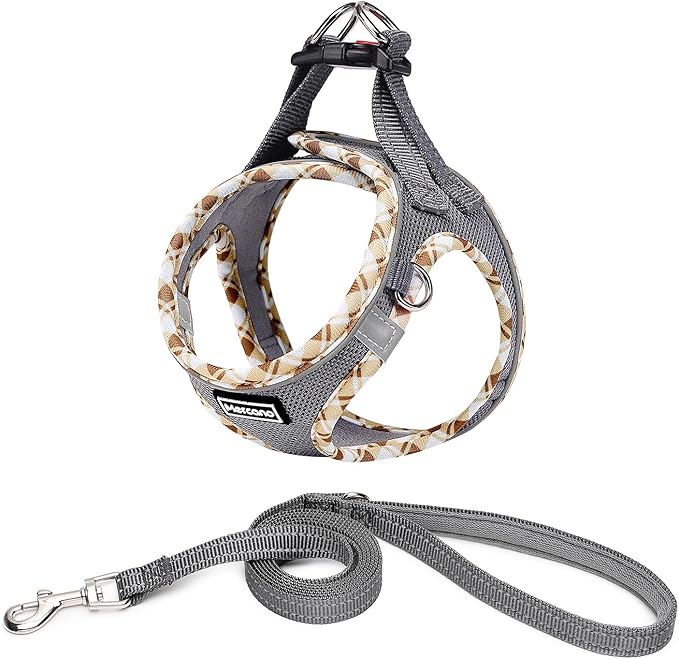 Mercano Soft Mesh Dog Harness and Leash Set, Step-in Reflective Breathable Lightweight Vest Harnesses with Safety Buckle for Small Dogs, Cats (Grey, L)