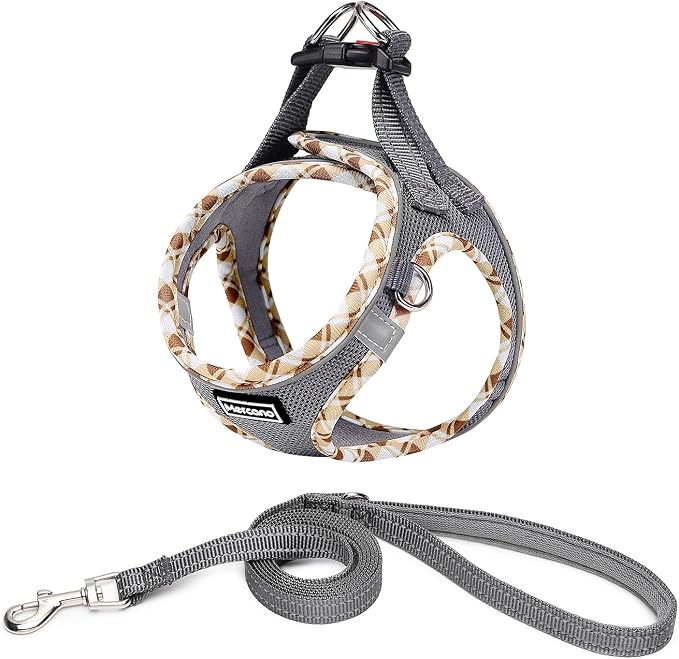 Mercano Soft Mesh Dog Harness and Leash Set, Step-in Reflective Breathable Lightweight Vest Harnesses with Safety Buckle for Small Dogs, Cats (Grey, XXS)