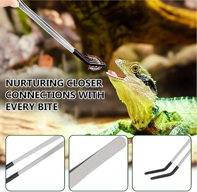 3 PACK Stainless Steel Reptile Feeding Tongs,10.62" Straight &Curved Long Feeding Tweezers&Bowl Set,Non Slip Feeding Tools with Rubber Tip,Bearded Dragon Tank Accessories (B-Silver)