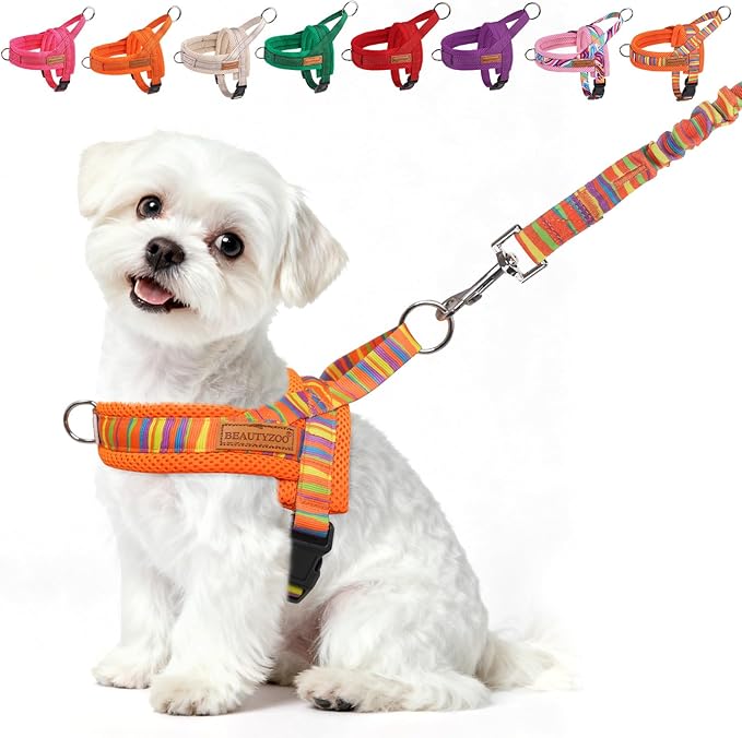 BEAUTYZOO Dog Harness for Small Dogs,No Pull Dog Harness and Leash Set,Soft Breathable Escape Proof Puppy Vest Harnessss with Handle,Lightweight Quick Fit Harness for Girl Boy Dogs Training Walking,S