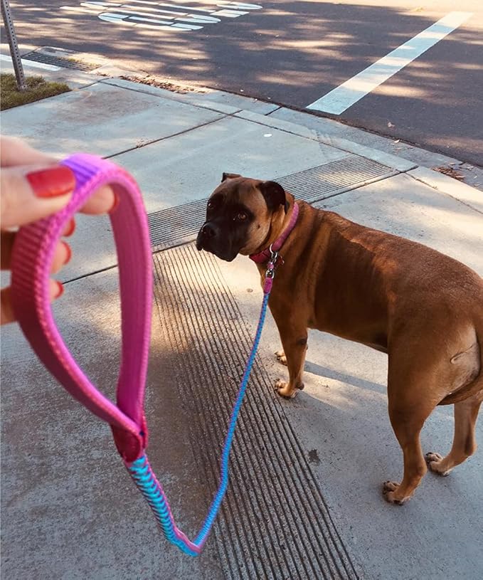 2/3/4/6/10 Foot Reflective Dog Leash Strong Nylon Rope Braided Heavy Duty for Large Medium Small Dogs Walking Training Leads (Pink, 10ft * 1/2")