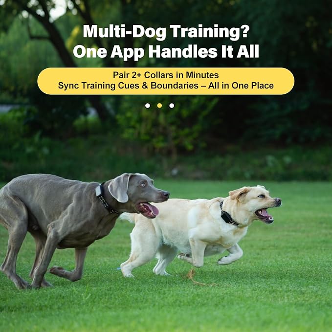 GPS Wireless Dog Collar Fence System - No Monthly Fee App Control, Custom Polygon Boundary & Remote Training, Free Phone Tracker for Up to 5 Pets, Virtual Electric Fence for Dogs, Black