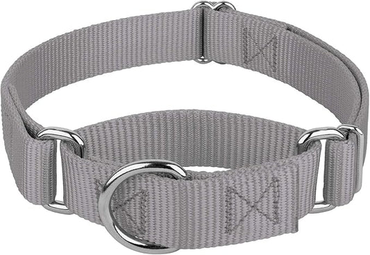 Country Brook Petz - Martingale Dog Collar - Heavy-Duty Training Collar with No Buckle - Service Dog Collar for All Pups - 20 Vibrant Colors (Silver, 3/8 Inch, 2XS)