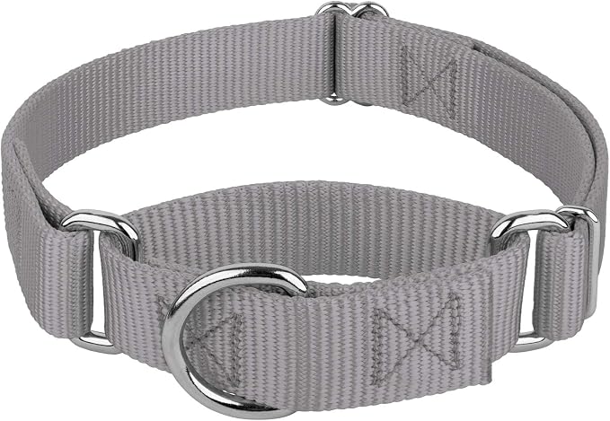 Country Brook Petz - Martingale Dog Collar - Heavy-Duty Training Collar with No Buckle - Service Dog Collar for All Pups - 20 Vibrant Colors (Silver, 3/4 Inch, Small)