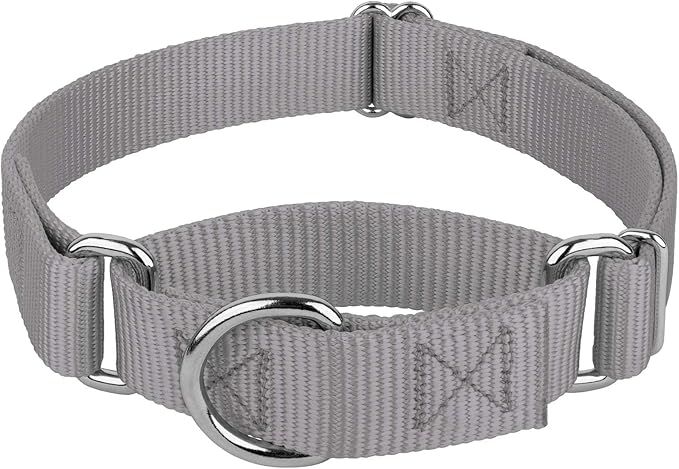 Country Brook Petz - Martingale Dog Collar - Heavy-Duty Training Collar with No Buckle - Service Dog Collar for All Pups - 20 Vibrant Colors (Silver, 3/8 Inch, 3XS)