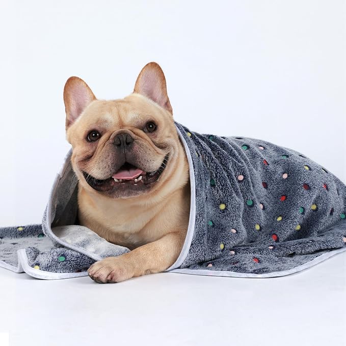 Luciphia 1 Pack 3 Blankets Super Soft Cute Dot Pattern Pet Blanket Flannel Throw for Dog Puppy Cat Medium(30x20), Blue