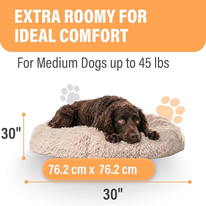 Active Pets Large Dog Bed, Calming Orthopedic Pet Bedding for Anxiety Relief, Joint Support & Comfort, Washable Dog Furniture, M 45lbs, Beige