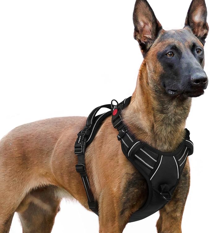 rabbitgoo Dog Harness for Large, No Pull Easy On & Off with 3 Buckles Pet Harness, Adjustable Soft Walking Vest with 2 Clips and Handle, Reflective for Extra Large Dogs, Black, XL