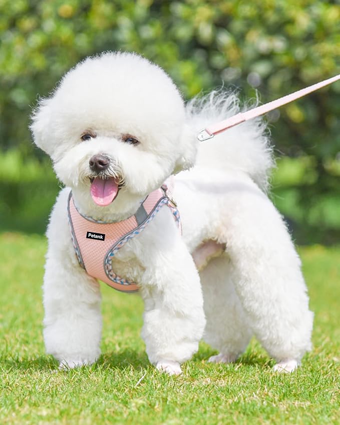 Petank Dog Harness for Small Medium Dogs No Pull, Puppy Harness and Leash Set, Step in Dog Harness for Walking, Running, Training, Small Dog Vest, Medium Dog Vest (Pink, M)