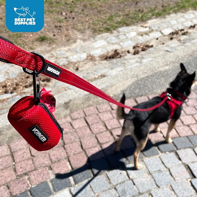 Best Pet Supplies Dog Poop Bag Holder Leash Attachment with 15 Bags, Royal Blue, Reusable Mesh Dispenser Pouch for Travel, Walking, Park, and Outdoor Use, Soft and Durable with Clip-On