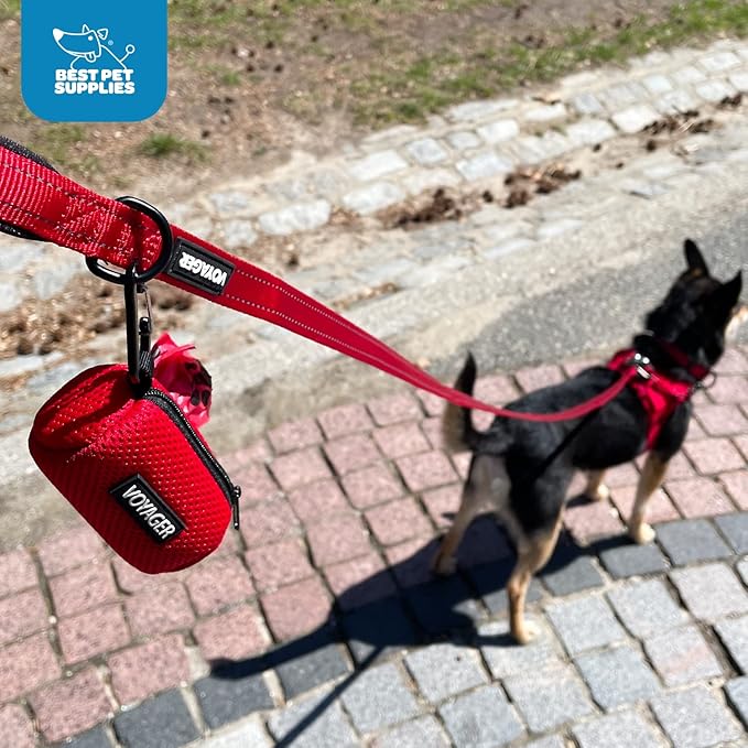 Best Pet Supplies 2-Pack Dog Poop Bag Holder Leash Attachment, Color, Reusable Mesh Dispenser Pouch for Travel, Walking, Park, and Outdoor Use, Soft and Durable with Clip-On - Mesh Lime Green