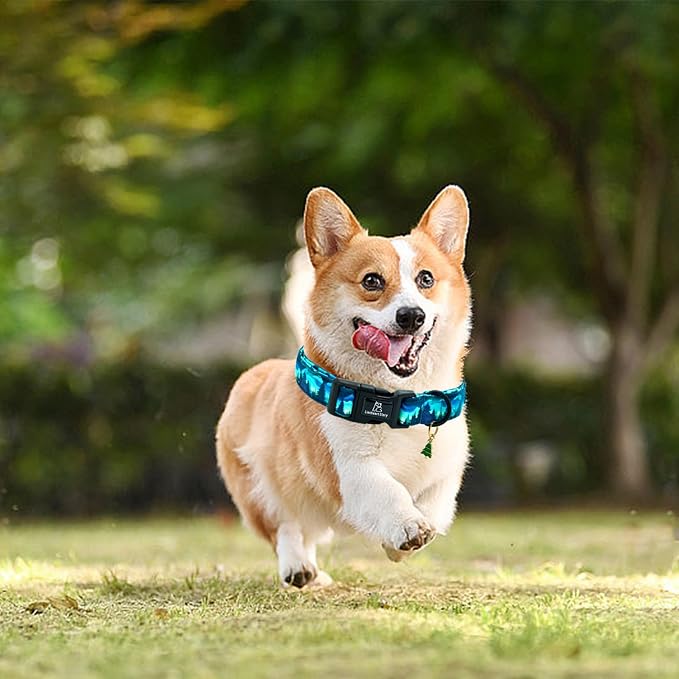 Lionheart glory Dog Collar Green Cute Collar for Small Dogs Spring Summer Female or Male Collars Pets Gift Adjustable Heavy-Duty Pet Collars
