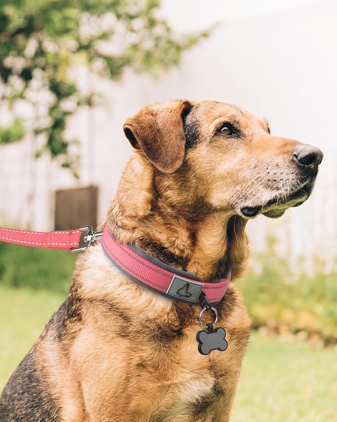 Joytale Dog Collar for Extra Large Dogs, Neoprene Padded and Adjustable, Reflective Wide Heavy Duty Pet Collars with Durable Metal Belt Buckle for Walking, Pink, XL