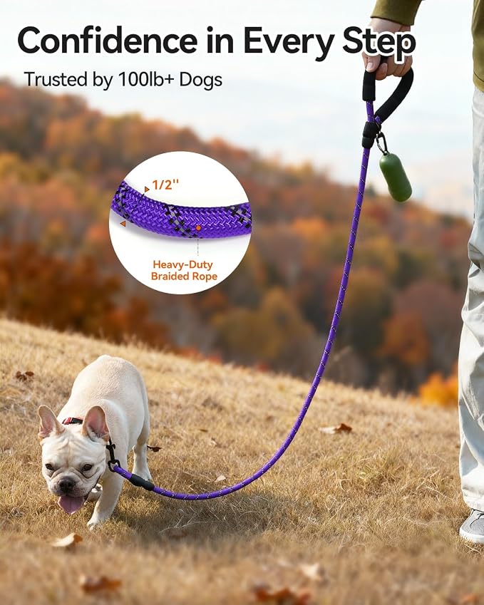 Joytale Dog Leash for Small Dogs, Heavy Duty Nylon Leashes with Comfortable Padded Handle and Highly Reflective Threads, Ideal for Walking and Training, Purple, 5'×3/8''