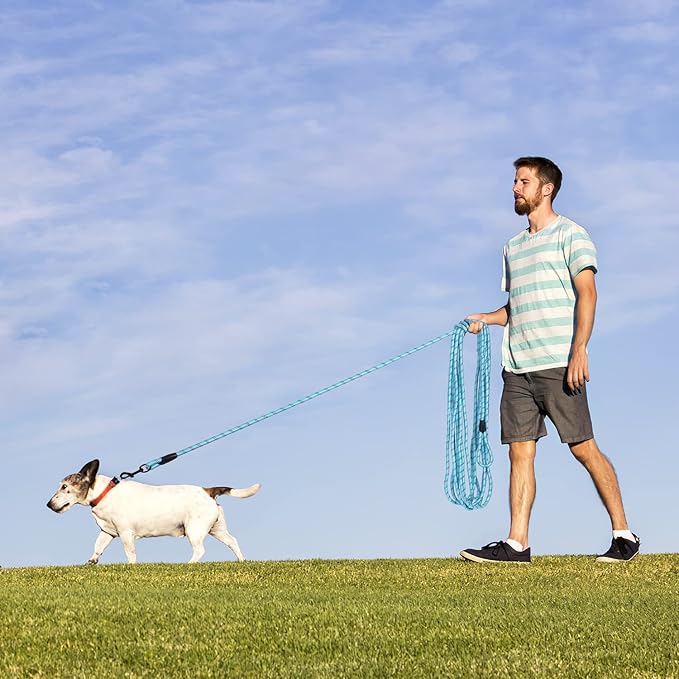 Long Dog Leash for Training 30Ft-Reflective Nylon Rope with Swivel Hook-Recall Agility Lead for Large Small Medium Dogs Outside Walking Hiking-Sky Blue Diam 1/2"