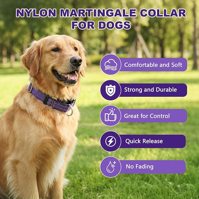 Hikiko Martingale Collar for Dogs Reflective Nylon Dog Collar with Quick Release Buckle Adjustable Training No Slip Dog Collar (Small, Purple)