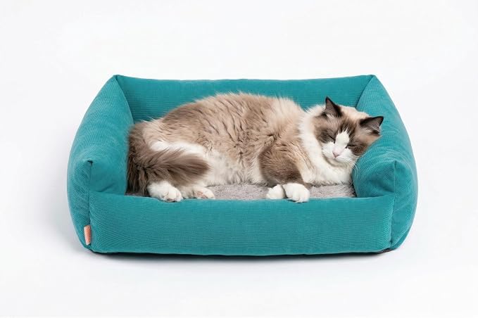 Cat Beds for Indoor Cats Washable, Small Dog Bed for Small Dogs, Orthopedic Dog Bed, Soft Warming Calming Sleeping Puppy Bed Durable Pet Bed with Anti-Slip Bottom 20 Inches