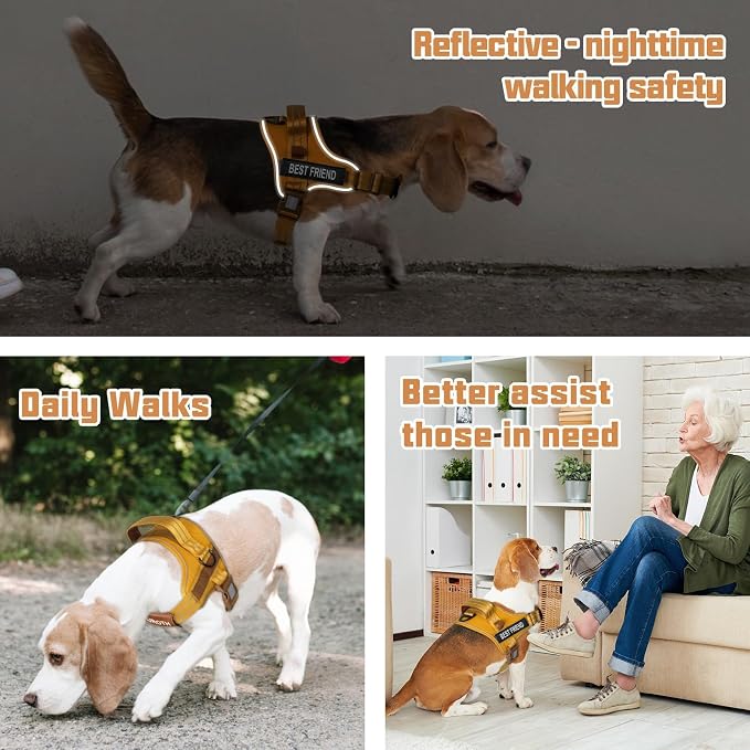 AUROTH Dog Harness and Leash Set, Soft Padded Service Dog Vest with 5.25FT Dog Leash, No Choke, Easy On Pet Vest, Adjustable Reflective No Pull Dog Harness Small Sized Dog, Easy Walking and Training