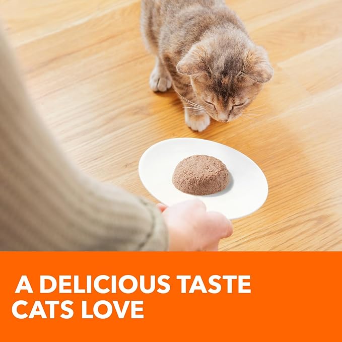 IAMS Perfect Portions Healthy Kitten Grain Free Wet Cat Food Pate,Chicken Recipe,2.6 oz. Easy Peel Twin-Pack Trays (,48 Servings),24 Count (Pack of 2)