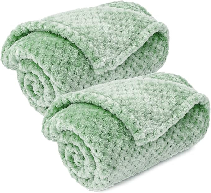 Warm Soft Fuzzy Dog or Cat Blanket, Plush Fleece Throws for Puppy, Kitten, Medium, Large Dogs - Mint (S/24" x 32")