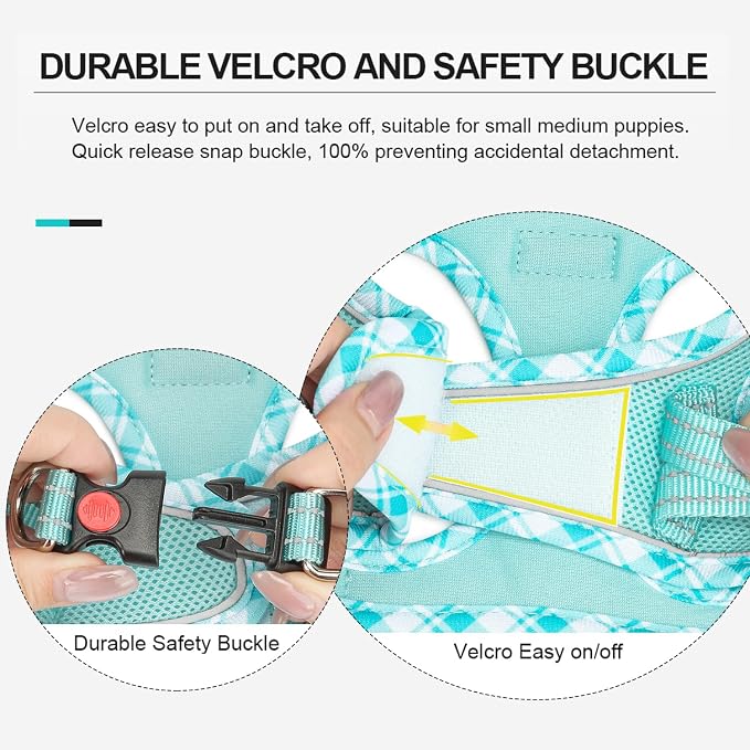 Mercano Soft Mesh Dog Harness and Leash Set, Step-in Reflective Breathable Lightweight Vest Harnesses with Safety Buckle for Small Dogs, Cats (Light Blue, XL)