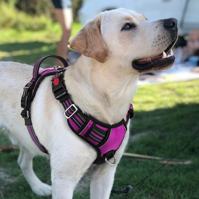 rabbitgoo Dog Harness for Large Dogs, 3 Buckles Easy On & Off No Pull Pet Vest, Soft Padded Walking Pet Harness with Control Handle, Adjustable and Reflective, Purple, L