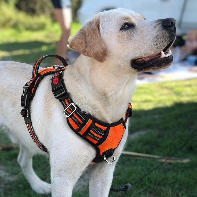 rabbitgoo Dog Harness for Large Dogs, 3 Buckles Easy On & Off No Pull Pet Vest, Soft Padded Walking Pet Harness with Control Handle, Adjustable and Reflective, Orange, L