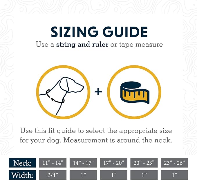 Ruffwear, Web Reaction Dog Collar, Escape-Proof Security Buckle, Adjustable Anti-Slip Martingale Collar with Durable Nylon Tubelok Webbing & Silent ID Attachment, Granite Gray, 23"-26"