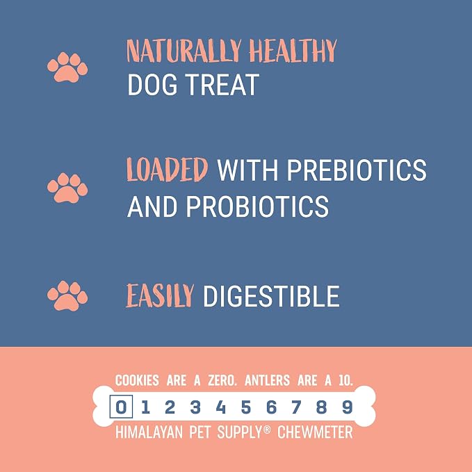 Himalayan Dog Chew Yogurt Sticks, Bacon Flavor, 5 Pieces, Pack of 4 | Prebiotic & Probiotic | Grain-Free | USA Made