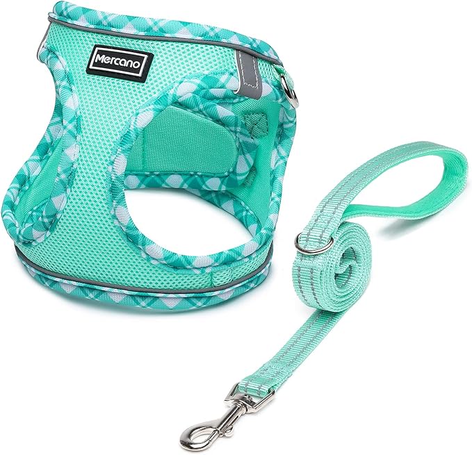 Mercano Soft Mesh Dog Harness and Leash Set, Step-in Reflective Breathable Lightweight Vest Harnesses with Safety Buckle for Small Dogs, Cats (Light Green, S)