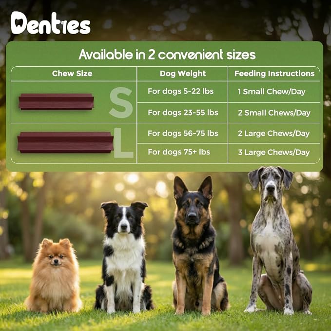 Dental Chews for Dog, Dental Sticks for Large Dogs (up to 75 lbs) – Vet-Recommended Teeth Cleaning Treats, Fresh Breath, Plaque & Tartar Control, Chicken & Beef – 16 oz, 22 Treats