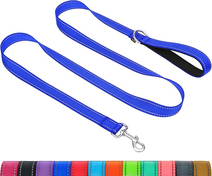 Taglory Dog Leash for Medium Large Dogs, Double-Sided Reflective for Night Walking, Neoprene Padded Handle, 1 inch by 4 ft, Heavy Duty for Medium Large Breeds 20-150 lbs, Navy Blue