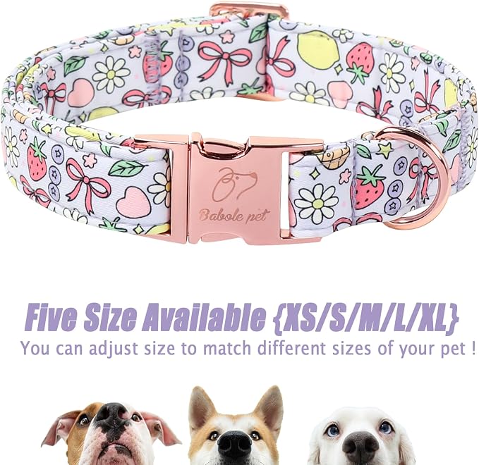 Cute Dog Collar, Spring Summer Pastel Dog Collars, Fruit Garden Dream Puppy Collar, Adjustable Heavy Duty Pet Collar for Small Medium Large Dogs with Metal Buckle M